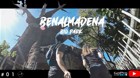 BENALMADENA,visitando BioPark.Travel #01   YouTube