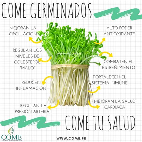 Beneficios de comer #Germinados  #COMEtusalud | Como hacer germinados ...