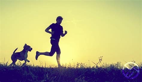 Beneficios de correr: ¡Mejora tu calidad de vida y gana en ...