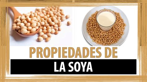 BENEFICIOS DE LA SOYA | PROPIEDADES DE LA SOYA | LA SOYA ...