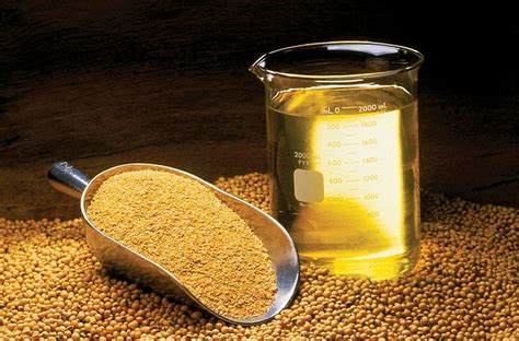 Beneficios del aceite de soya :: Propiedades del aceite de ...