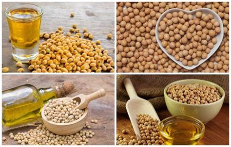 Beneficios del aceite de soya, usos y para qué sirve ...
