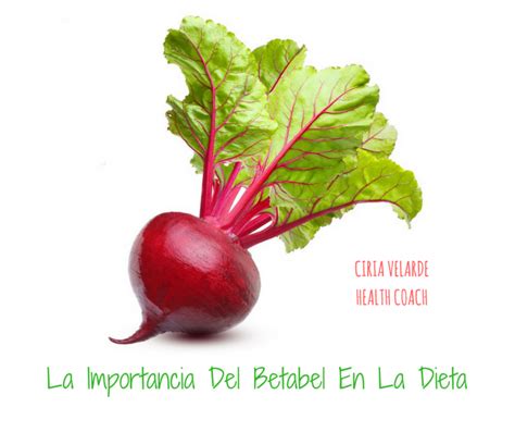 Beneficios Del Betabel En La Dieta   Ciria Velarde   Health Coach