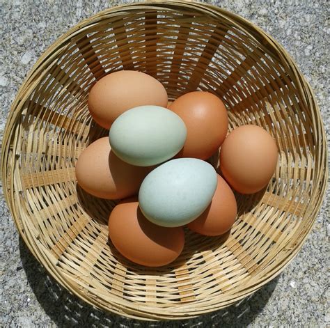 beneficios del huevo azul | CocinaDelirante