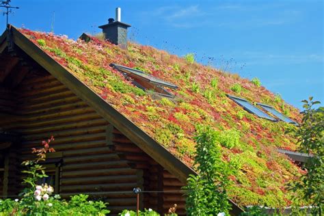 Beneficios, funcionamiento y tipos de tejados verdes