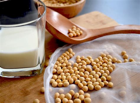 Beneficios leche de soja: una alternativa a la leche de ...