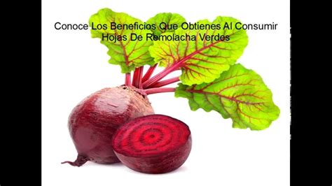 Beneficios Que Obtienes Al Consumir Hojas De Remolacha Verdes | Hojas ...