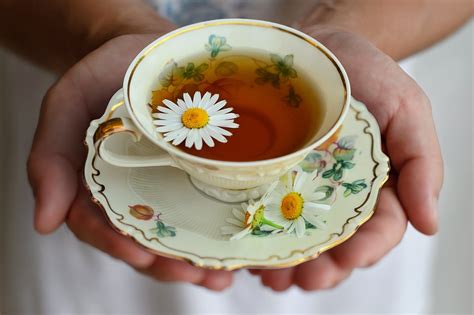 beneficios y propiedades del te de manzanilla