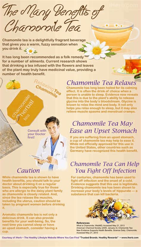 Benefits of Camomile Tea   HRF