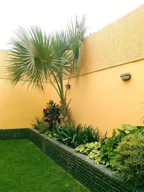 Best 25+ Jardineras exterior ideas on Pinterest | Palets plantas ...