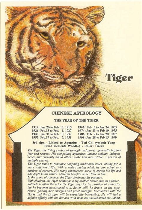 Best 25+ Tiger zodiac ideas on Pinterest | Tiger chinese ...