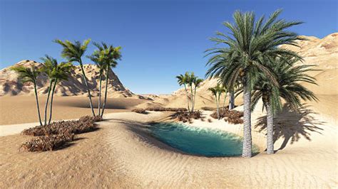 Best Desert Oasis Stock Photos, Pictures & Royalty Free ...