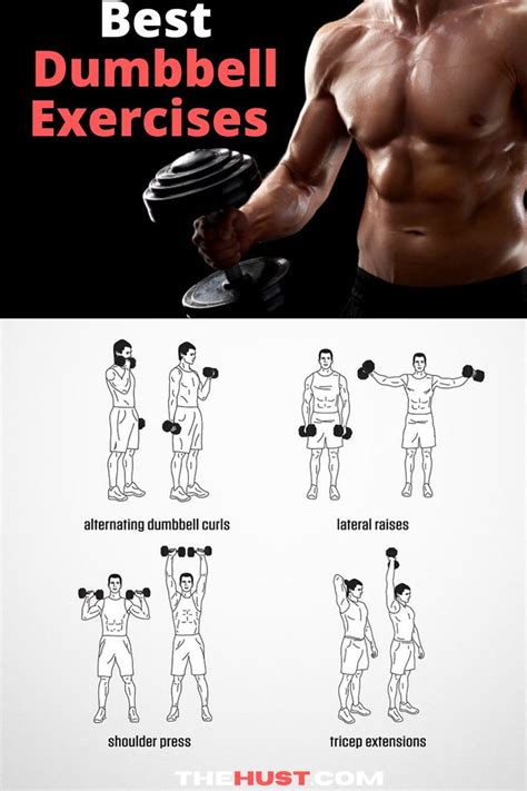 Best full body dumbbell workout plan | Dumbbell workout plan, Full body ...