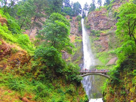 Best Hiking Trails Near Me With Waterfalls | ReGreen ...