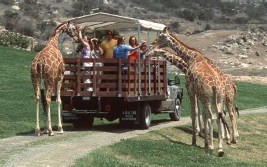 Best Thing to Do in San Diego Zoo Safari Park | Adventure ...