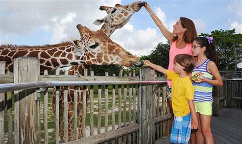 Best three useful reviews about Zoo Miami   Orlando to ...