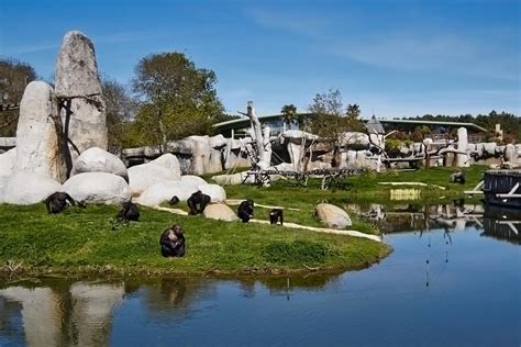Best Zoos in Europe | Top 10   Alux.com