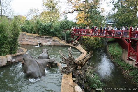 Besuch im Leipziger Zoo | Renés Fotoblog