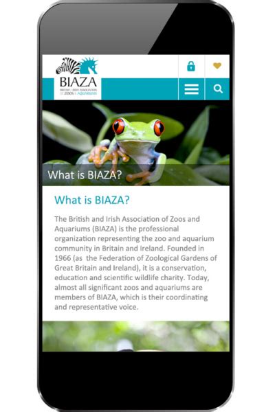 BIAZA Website Case Study | Website Vision