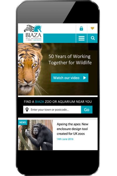 BIAZA Website Case Study | Website Vision