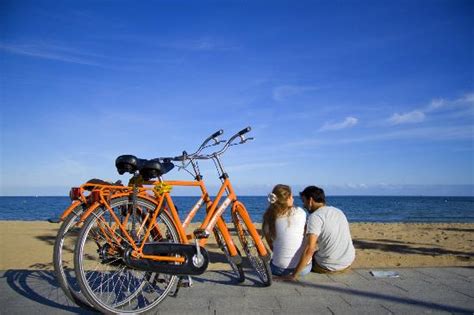 Bike rental   Top quality Dutch bicycles   Picture of ...