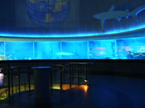 Bild Im Aquarium oberer Bereich zu Zoo Leipzig in Leipzig