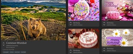 Bing Homepage Quizzes Wombat 1234 | bingweeklyquiz.com