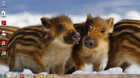 bing picture of the day desktop   Bing Images | Cute baby ...