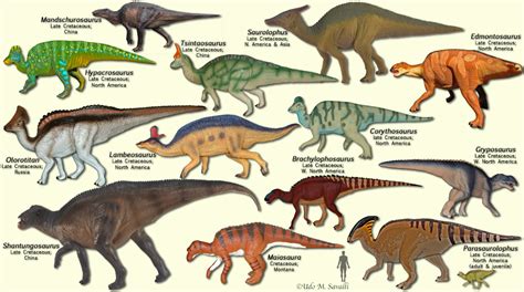 BIO113 Herbivorous Dinosaurs