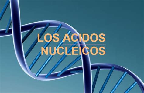 BIOAMD: LOS ÁCIDOS NUCLEICOS