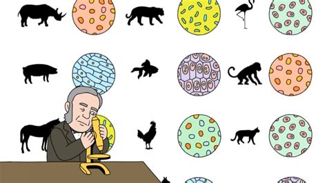 Biocursounam: La extraña historia de la teoría celular