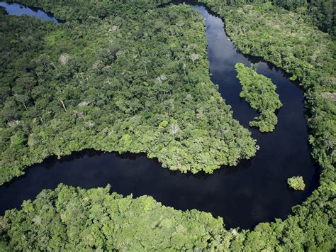 Biodiversidad de la Amazonia