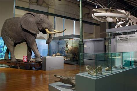 «Biodiversidad», una magnífica exposición en el Museo Nacional de ...