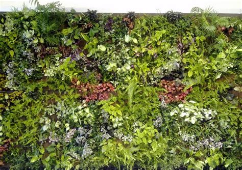 BioFiltEx: Muros vegetales sostenibles : Jardines ...