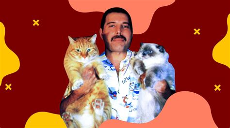 Biografia de Freddie Mercury: tudo sobre o cantor do Queen