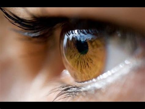 Biokinesis Para Olhos Castanhos Claros   Áudio   YouTube