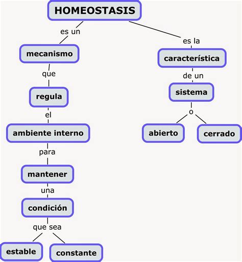 BIOLOGÍA 3º SECUNDARIA: Homeostasis