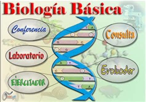 BIOLOGIA BASICA PRIMARIA COLEGIO MIRAVALLE: sistema de ...