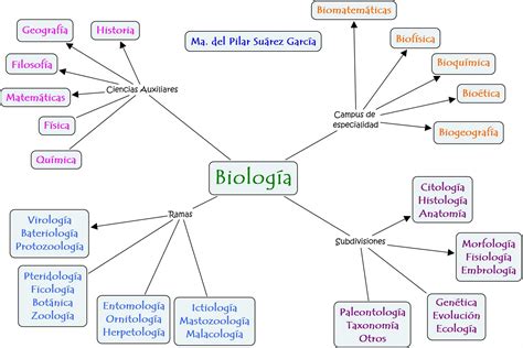 biología: Clasificación de Biología