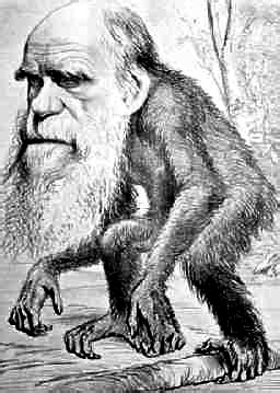 Biología de Trivial: El hombre viene del mono ...