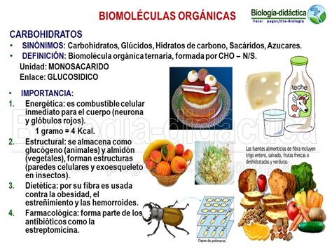 Biología didáctica: Cepreduni BIO   Biomoléculas Orgánicas