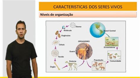 Biologia ENEM   Características dos Seres Vivos   Aula 01 ...