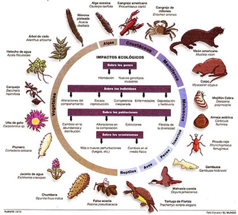 Biologia: ESPECIE....