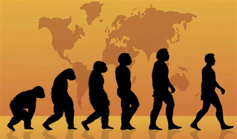 Biología Evolutiva | Concepto de   Definición de