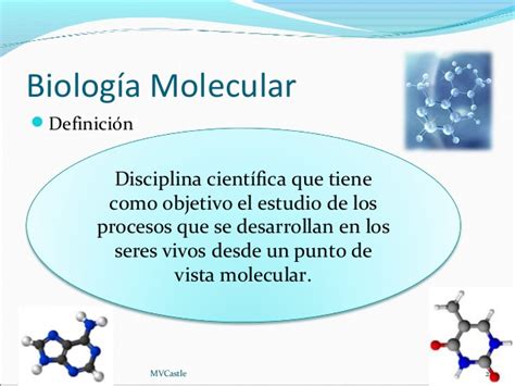 Biología molecular 97 2003