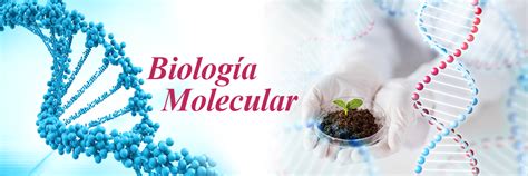 Biología Molecular | CIBE