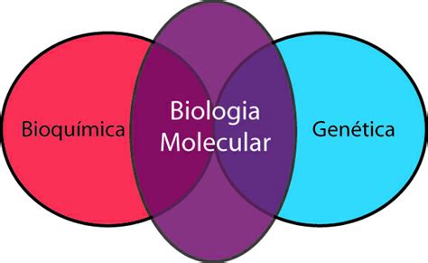 Biologia molecular – Wikipédia, a enciclopédia livre