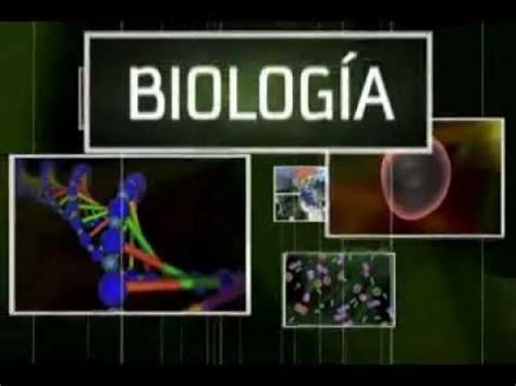 biología origen de la vida   YouTube