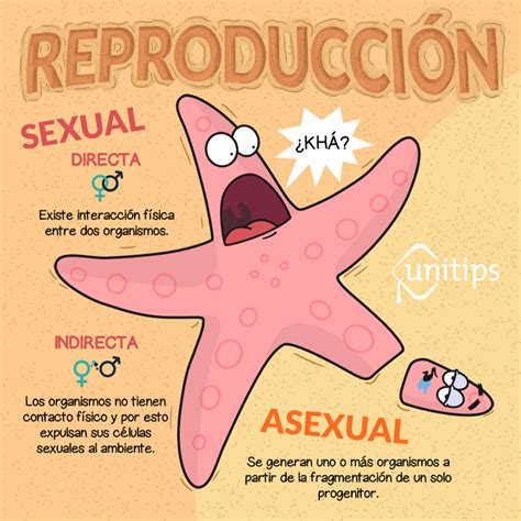 Biología: Tipos de reproducción. Guía de temas para el ...