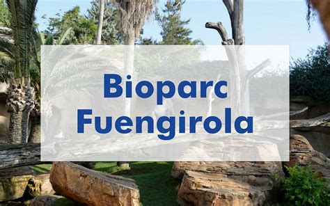 Bioparc Fuengirola: Cómo llegar, horarios, precios y ...